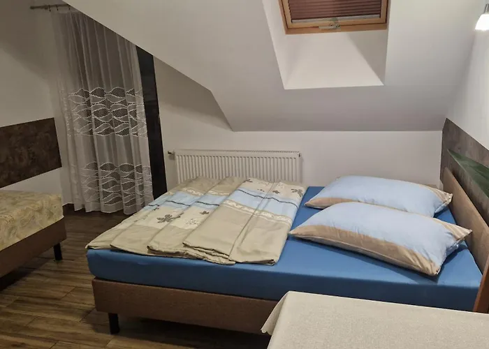 Jelonka * Jelenia Góra